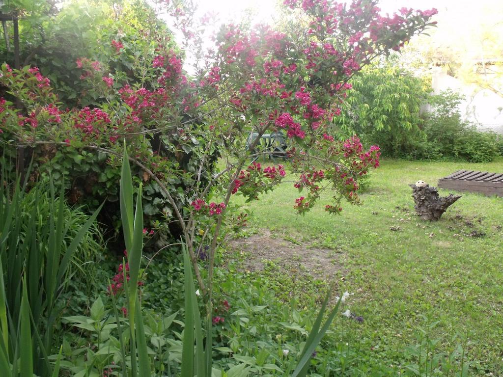 Kerekparos Es Zarandok Vendeghaz Villa Apostag Rum bild