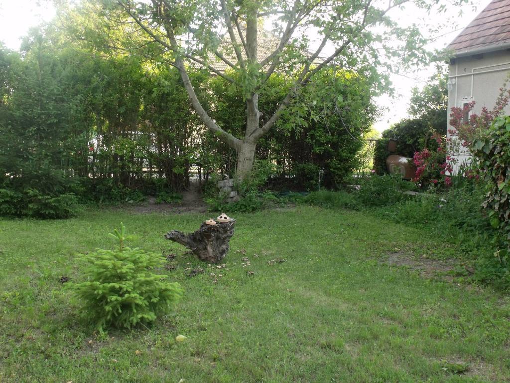 Kerekparos Es Zarandok Vendeghaz Villa Apostag Rum bild